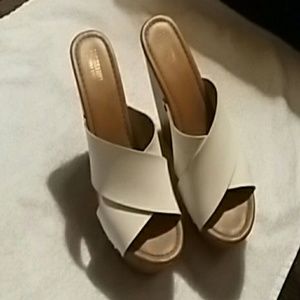 Wedge heals wood with white straps